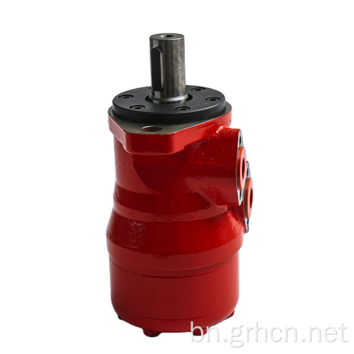 বাজারে উচ্চ চাহিদা পণ্য: কাস্টমাইজড BM2, BMR, GM2 1200cc হাইড্রোলিক মোটর